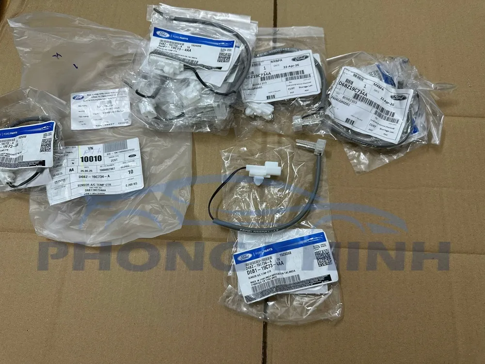 Cảm biến nhiệt độ giàn lạnh Ford Fiesta 2014-2018 chính hãng D6B119C734AA
