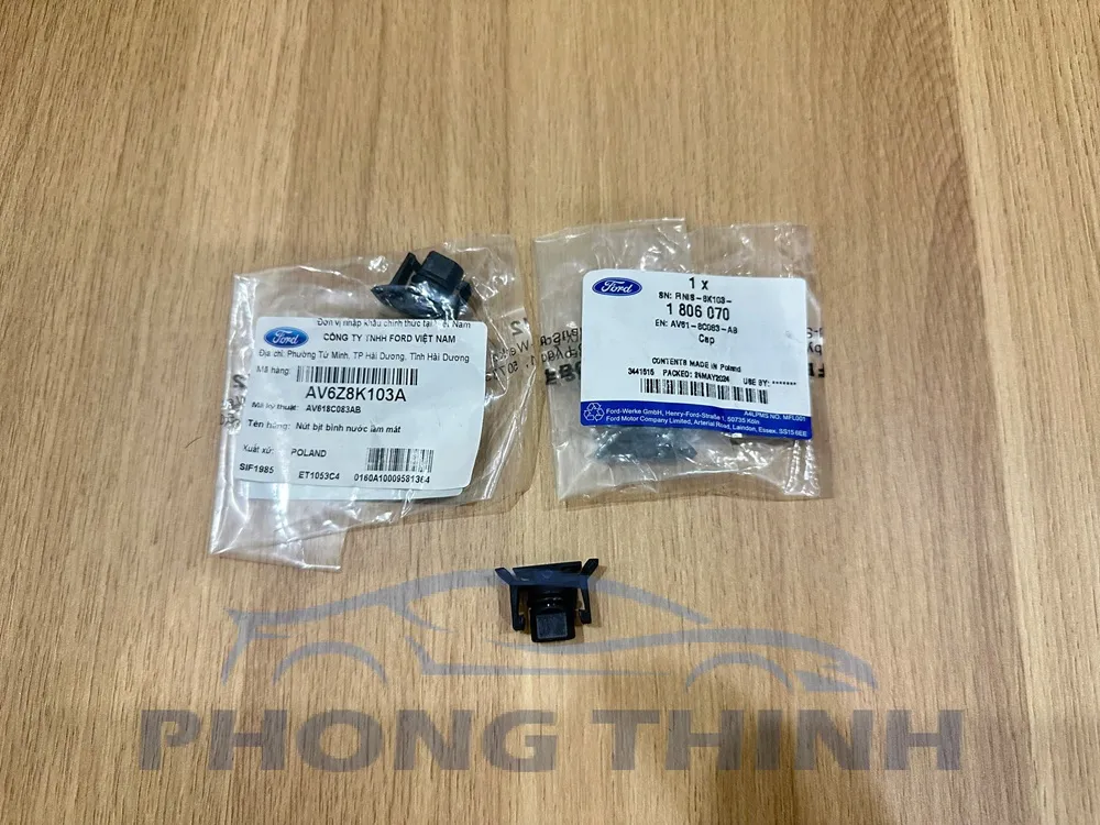 Nút bịt bình nước phụ Ford Ecosport Focus Fiesta 2011-2018 chính hãng AV618C083AB